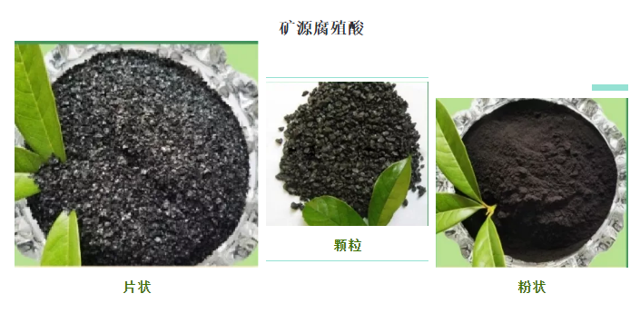 看過(guò)來(lái)！帶你了解司普沃赫蔓核心成分-礦源腐殖酸