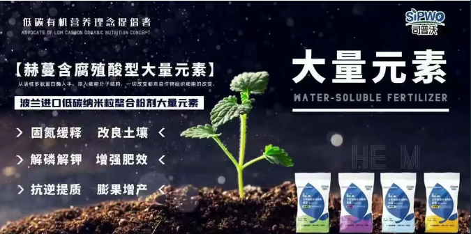 如何選擇葉面肥？葉面肥的施用形式你了解嗎？