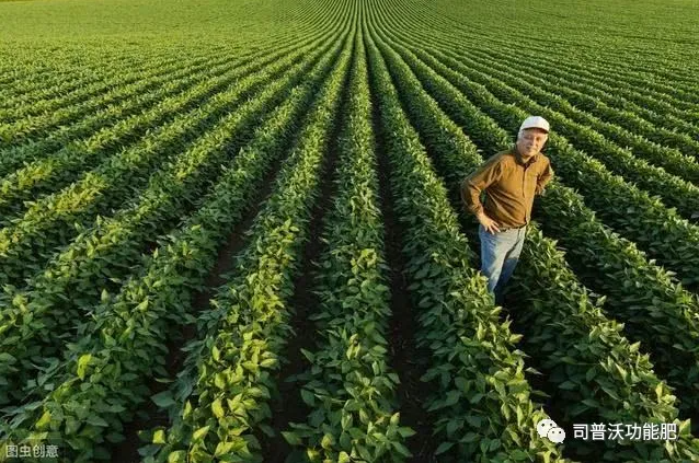 七種不同作物的科學輪換茬口種植？看了讓你不增產(chǎn)都難！