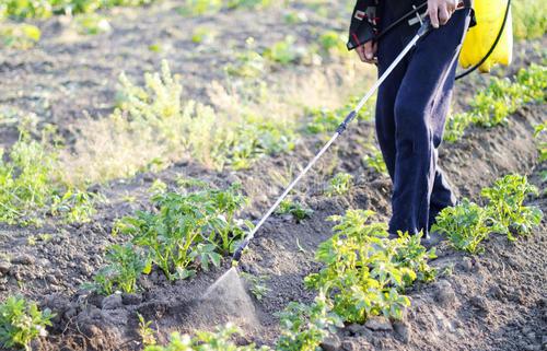 在田蔬菜如何渡過冷冬？不要著急，司普沃帶著抗寒防凍措施來了