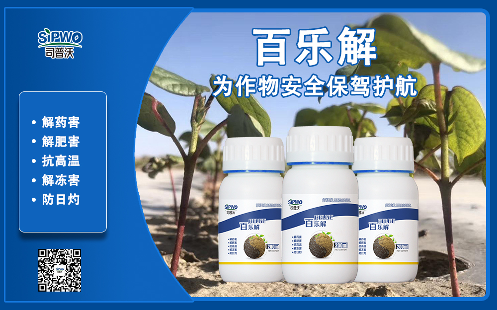 司普沃赫蔓百樂解，解凍害、解肥害、解藥害，棉花上再顯神威！