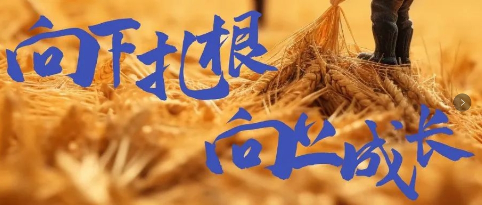 向下扎根，向上成長，司普沃6月市場服務(wù)一線效果反饋