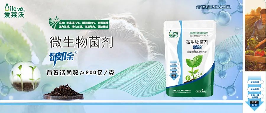 愛萊沃·微生物菌劑_破除|沃土、生根、抗病一步到位